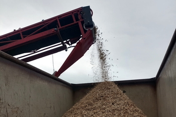 Magnetic drum MB 204 F 600 - Crushing of wooden pallets