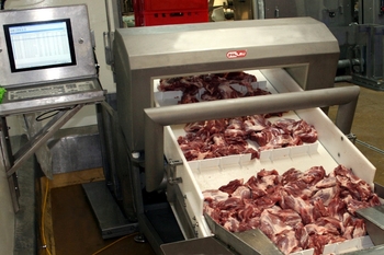 Tunnel metal detector METRON 05 CI – inspection of meat products in the food industry