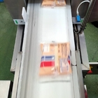 Tunnel metal detector METRON 07 CI