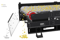 Magnetic separator with centrically embedded rotor (ECS-C RAM)